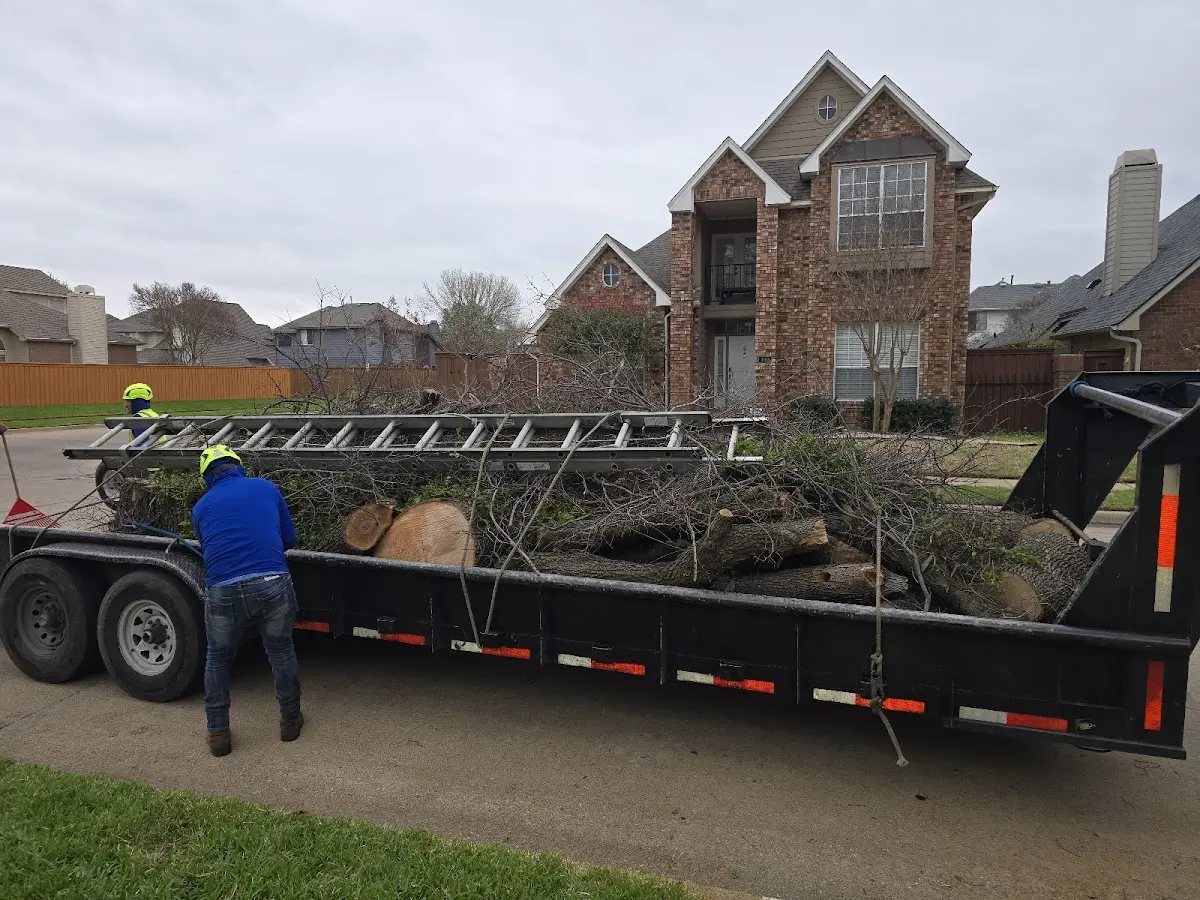 Expert Tree Fertilization with proper safety equipment in Abilene